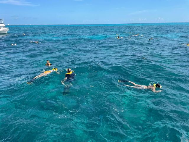 Snorkelers and divers at Coffins Patch typically encounter an abundance of colorful fish. Photo: Capt. Hook's Dive Center