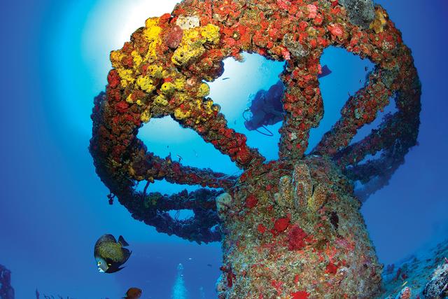 Thunderbolt is considered the queen of the Marathon wreck fleet. The giant cable spool is encrusted with colorful soft corals and sponges. 