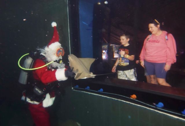 Visitors watch as the scuba diving Santa shares a treat with a curious cownose ray. 