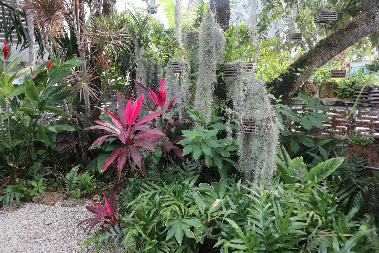 The tours give attendees a rare chance to discover examples of the plant-filled outdoor living areas central to the island’s easygoing, nature-oriented lifestyle. Photos: Key West Garden Club 