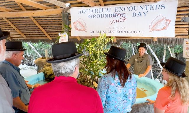 Officials from the Marathon City Council and Monroe County Commission joined the team from Florida Keys Aquarium Encounters to witness the only-in-the-Keys prognostication. Photo: Bob Care