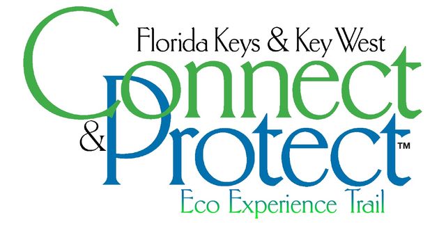 Access the free pass at fla-keys.com/experience, then check in at locations on the pass to receive points toward Keys-focused prizes. 