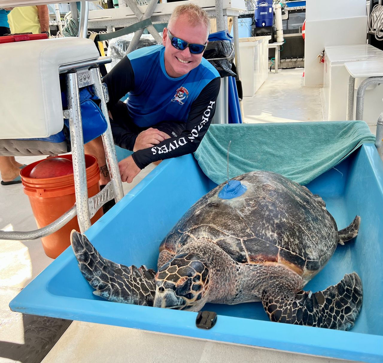 Dawson led the 2022 rescue of Harris, a 175-pound pregnant sea turtle who had a weighted fishing lure snagged between her neck and a fin. After treatment at the Turtle Hospital, Dawson oversaw her release. Photo: JoNell Modys