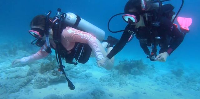 Divers use the buddy system to remain close together. 