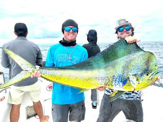 More Teams Mean More Prize Money at Bull and Cow Dolphin Tournament May 3-5