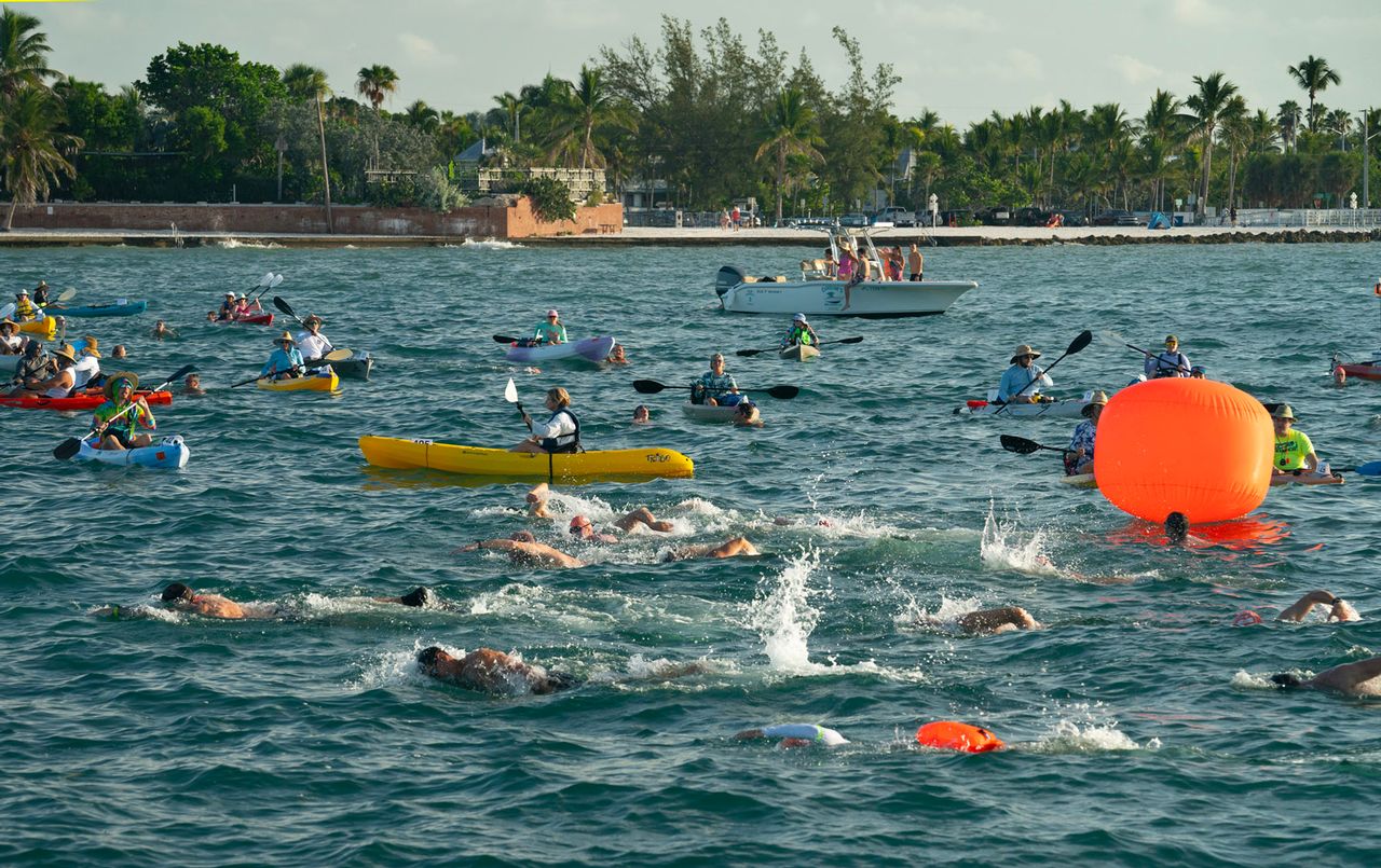 The annual Swim Around Key West attracts swimmers from throughout the U.S., Canada and abroad in age categories of 12 and under to 70 and over. Photo: Andy Newman