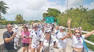 ‘Athletes’ Race 300 Feet in Offbeat Florida Keys Bridge Run 