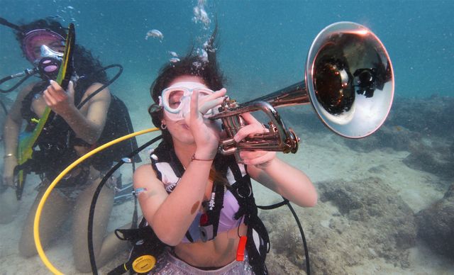 Divers and snorkels can sign up for trips with Lower Keys diver operators to join the underwater concert. 