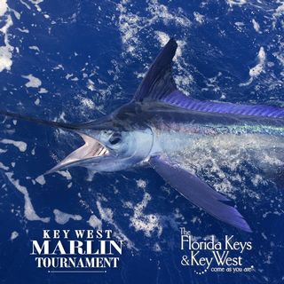 Key West Marlin Tournament to Offer $50,000 in Cash Prizes