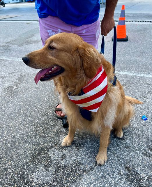 Islamorada's celebration at Founders Park includes a Patriotic People and Puppy Parade at 7:30 p.m. and fireworks after sunset. Photo: JoNell Modys