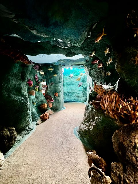 At Crane Point's Museum of Natural History, visitor can learn about the exploits of early pioneers and explore exhibits on the Keys' natural world. Photo: JoNell Modys