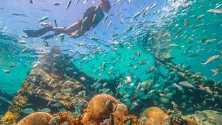 Lesser-Known Florida Keys Wreck Dives