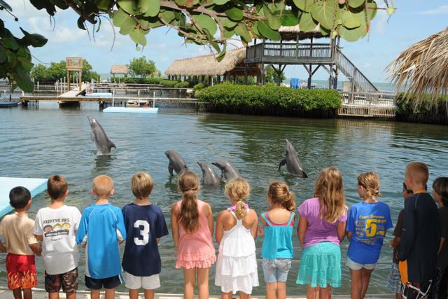 Marathon-area participants include the Dolphin Research Center, the world-renowned Turtle Hospital and Florida Keys Aquarium Encounters. 