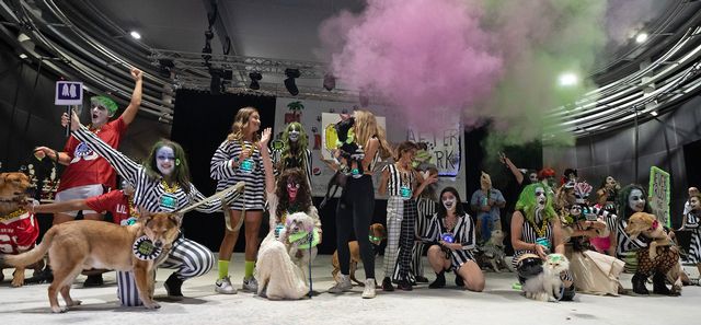 A group of people and pets perform their Beetlejuice spoof during a previous year's Fantasy Fest Pet Masquerade. 