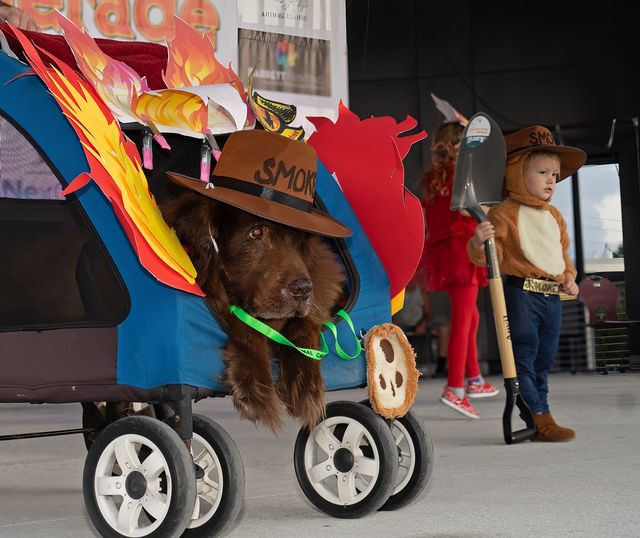 A standout from the 2023 Pet Masquerade was a family staging a Smokey the Bear skit with a 13-year-old Newfoundland portraying Smokey. 