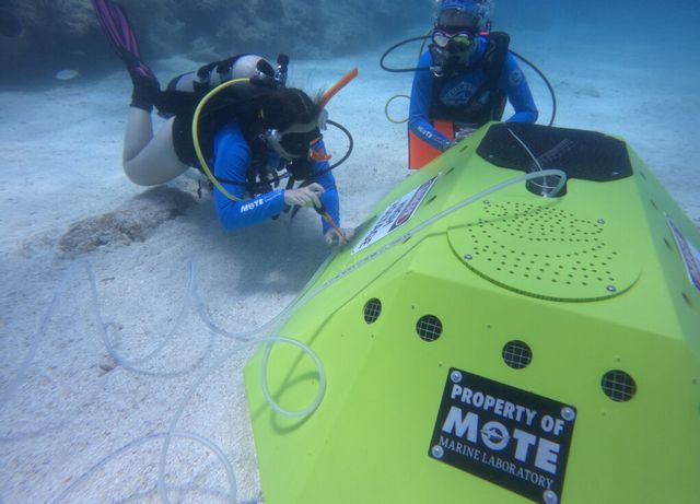 Mote Marine Laboratory's SeapHOx sensor collects high-resolution data tracking subtle changes in the Looe Key Reef environment. Photo: Mote Marine