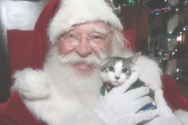 Pet pictures with Santa are available Dec. 5 for a $25 cash donation  benefiting the Boys & Girls Club of the Keys