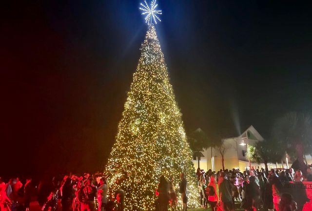 Key Largo celebrates and early beginning to the holiday season with a festival lighting ceremony for Holly, the area's 45-foot-tall holiday tree. 