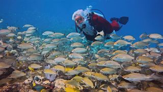 Santa Claus Spotted Diving in the Florida Keys