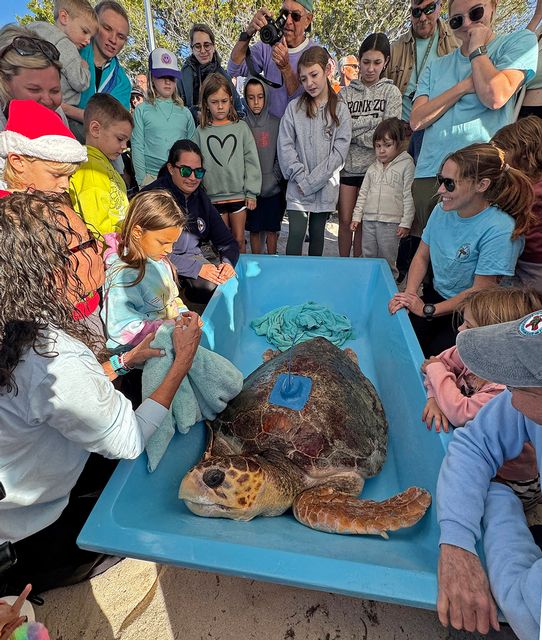 Bette Zirkelbach, manager of the Florida Keys-based Turtle Hospital, explains the importance of protection of marine environments to children as they get a close look at Harlow before her release. Photo: Andy Newman