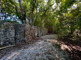 Walk Past Walls of Ancient Coral at Windley Key