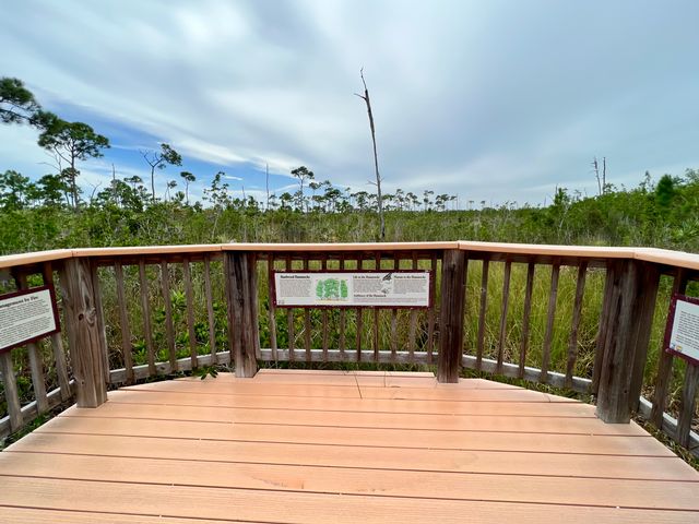 The Mannillo Trail has an observation platform overlooking a freshwater wetland area. 