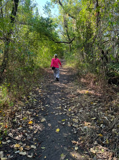 The trail is mostly hard packed soil with a canal on one side and mangrove estuary on the other. Photo: Rob Modys