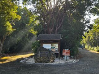 Walk on the Wild Side of Key Largo at Dagny Johnson Park