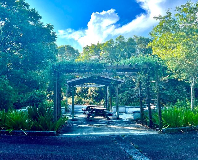 Just past the entrance an easy paved loop includes a central butterfly garden and picnic tables. 