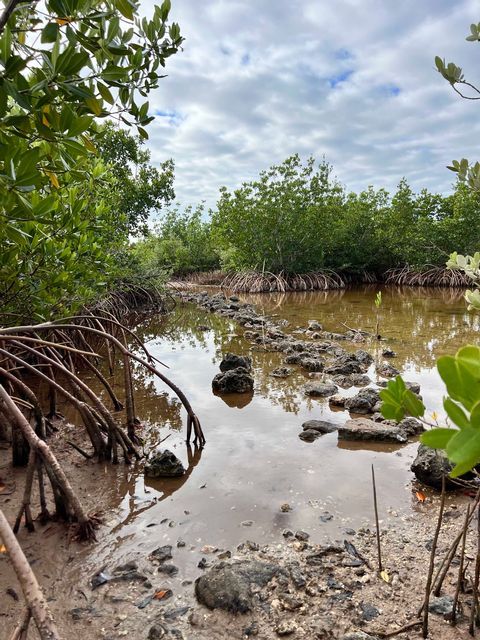 A section of the outer loop takes more adventurous hikers through an area prone to flooding from high tides and rain. 