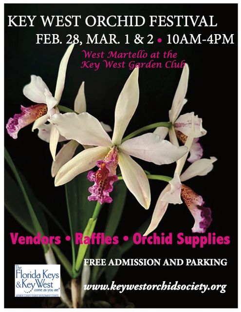 Attendees will be able to vote for Best of Show in a blooming orchid exhibit. 