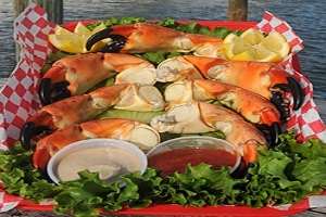 Stone Crabs in the Florida Keys