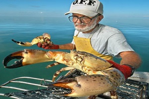 Sample fantastic seafood in the Florida Keys