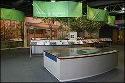The 6,400-square-foot Florida Keys Eco-Discovery Center, the site of the celebration, is the visitor center for the Florida Keys National Marine Sanctuary, showcasing interactive exhibits and displays. (Photo courtesy of National Marine Sanctuaries)