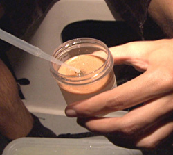 A student deposits gametes into a collection jar.