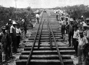 Working at an Islamorada site.