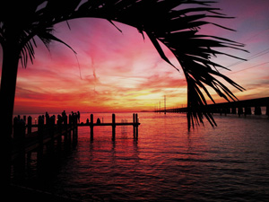 Image: Frank Pascoe/Florida Keys Photo Adventure