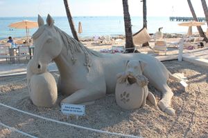 One visitor's sand horse creation