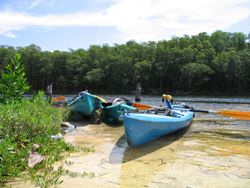 On a kayaking tour, paddlers can stop off at one of the many deserted islands around the Florida Keys