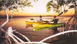 Paddlers prepare to enter the thick Florida Keys mangroves where laying down the paddle and pulling along the path by hand is a common and recommended practice. 