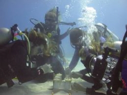 Image 1 - Divers work in a coral nursery under Ken Nedimyer's supervision.