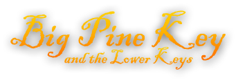 Big Pine & the Lower Keys